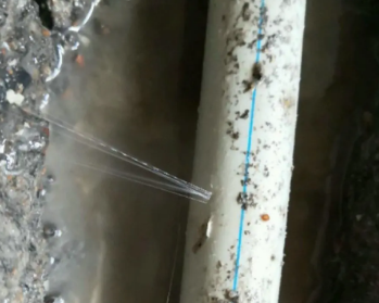 礼泉卫生间测漏水多少钱