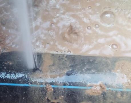 礼泉卫生间防水哪家好
